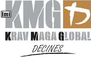 Photo n°11 de Krav Maga Décines - KMG Décines à Décines-Charpieu ()