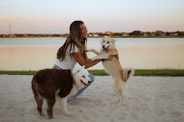 Lolo & Co Petsitting - Photo 3 - Car repair in , Brandon