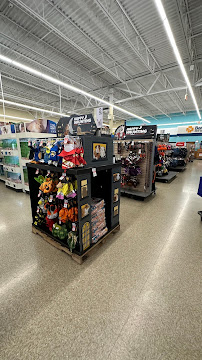 PetSmart - Photo 3 - Car repair in Medina, OH, Akron