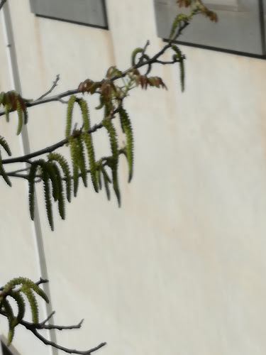 B&B Tre Angeli à Bonorva