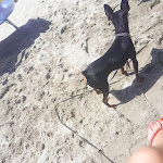 Photo n°1 de l'avis de Patrizia.a fait le 04/07/2019 à 12:41 sur le  Palm Beach à Paola