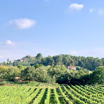 Photo n°3 de l'avis de Mihnea.i fait le 18/08/2021 à 23:17 sur le  Solar de Serrade à Monção