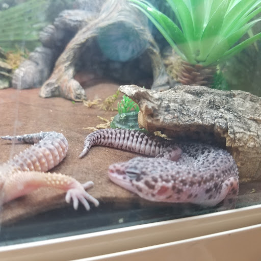 Pet Supply Store «PetSmart», reviews and photos, 6204 W Park Blvd, Plano, TX 75093, USA