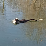 Photo n°8 de l'avis de Stefania.o fait le 31/01/2022 à 23:14 sur le  Terme di Monte Valenza à Monte