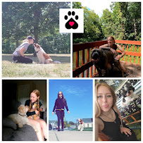 Pawsitive Pet Care LLC - Photo 3 - Car repair in , Rochester