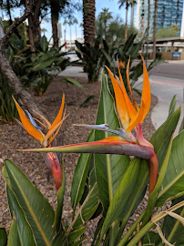 Urban Yoga - Photo 9 - Car repair in Phoenix, AZ, Phoenix