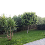 Photo n°2 de l'avis de Anny81!. fait le 04/09/2017 à 16:39 sur le  Hotel Koinè Otranto à Otranto