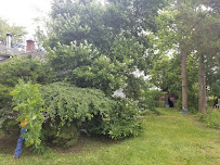 J&T's Lawn Service LLC - Photo 3 - Car repair in Aberdeen Township, NJ, Staten Island