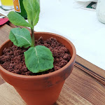 Photo n°5 de l'avis de Christine.u fait le 04/05/2021 à 12:45 sur le  Schützenschenke - Elchingen à Elchingen