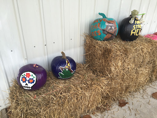 5155 AR-7, Harrison, AR 72601, USA