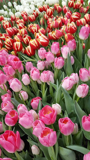 Shopping Mall «Union Square, San Francisco», reviews and photos, 333 Post St, San Francisco, CA 94108, USA