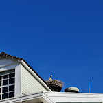 Photo n°2 de l'avis de Laure. fait le 09/05/2022 à 04:26 sur le  Hôtel Bell Rock à Rust