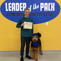 Leader of the Pack Canine Institute - Photo 4 - Car repair in Allentown, PA, Allentown