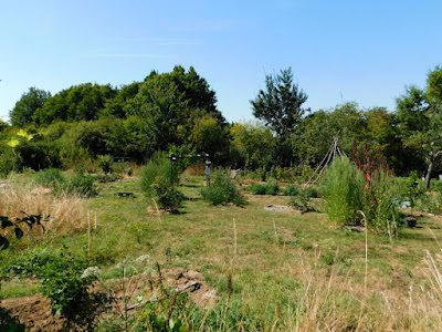 Le jardin Libère-Terre à Ohis