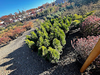 bonillas landscaping - Photo 4 - Car repair in Bayonne, NJ, New York