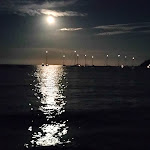 Photo n°8 de l'avis de Diego.a fait le 08/08/2023 à 21:49 sur le  Pino Solitario à Campo nell'Elba