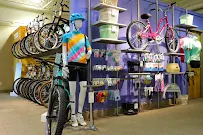 Trek Bike Shop of Naples - Car repair in Naples, FL, Bonita Springs - Rated 4.8/5