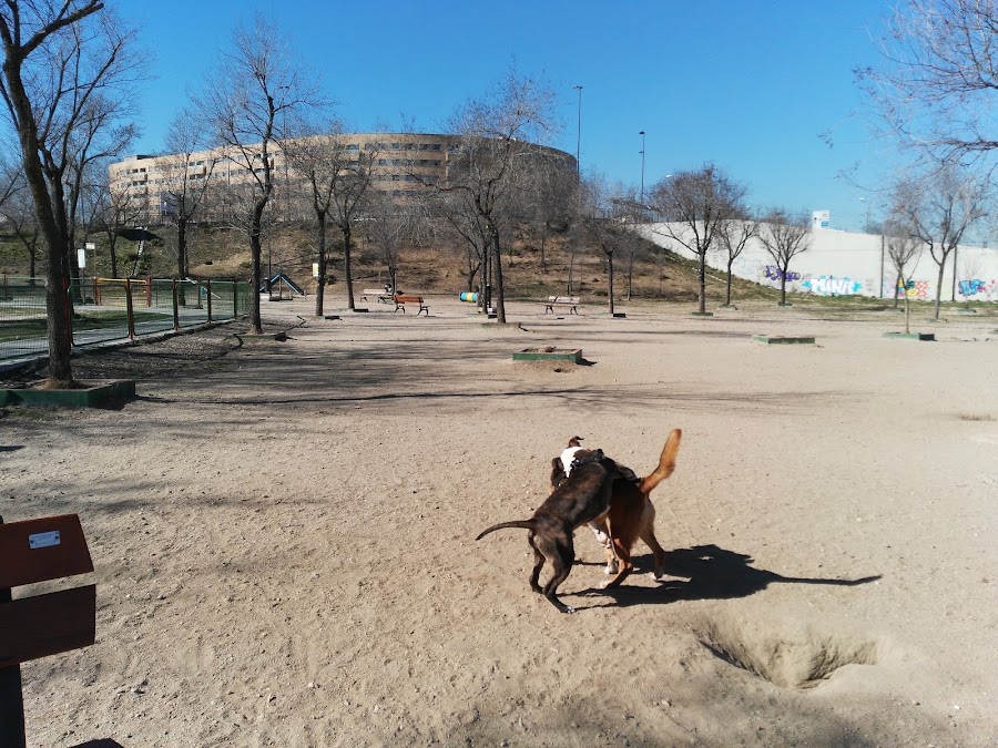 Parque Canino 
