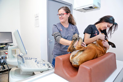 Clinique Vétérinaire Vet'Oxygene à Aix-en-Provence