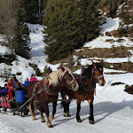 Photo n°4 de l'avis de Giampaolo.o fait le 04/02/2024 à 07:06 sur le  Hotel Alle Alpi Beauty e Relax à Moena