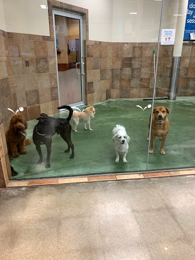 Pet Supply Store «PetSmart», reviews and photos, 11501 Metcalf Ave, Overland Park, KS 66210, USA
