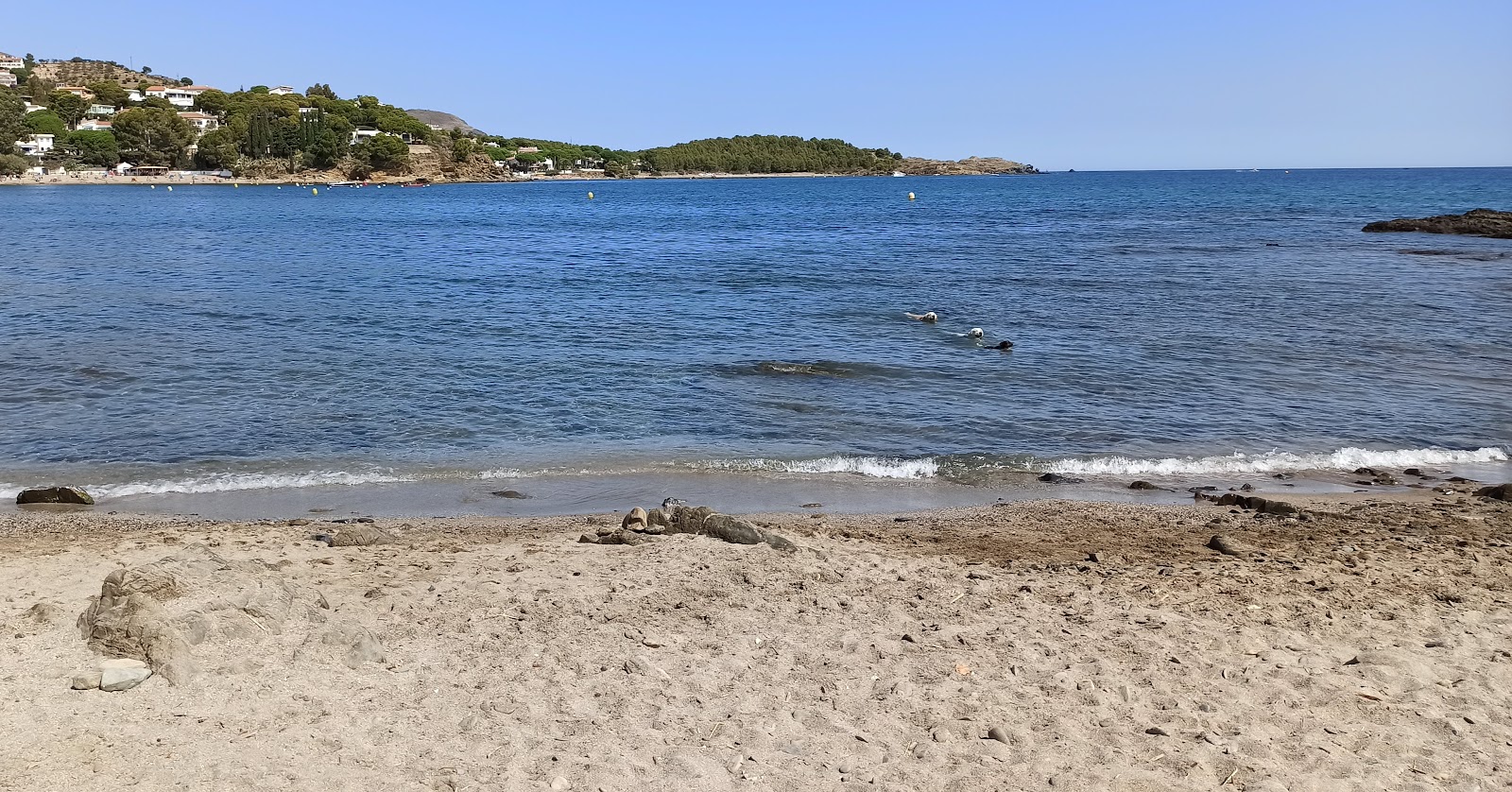 Photo de Platja Sant Jordi et le règlement