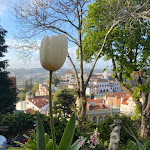Photo n°3 de l'avis de Liliya.o fait le 18/04/2022 à 13:59 sur le  Casa das Minas à Sintra