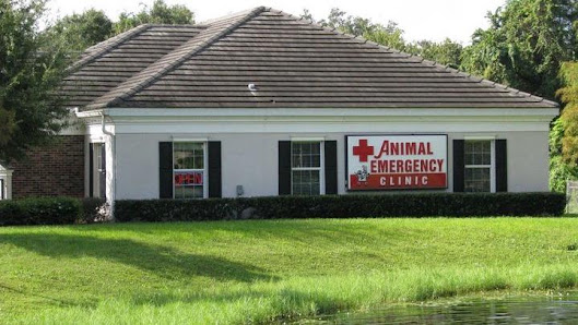 Animal Emergency Clinic of Brandon 693 W Lumsden Rd, Brandon, FL 33511