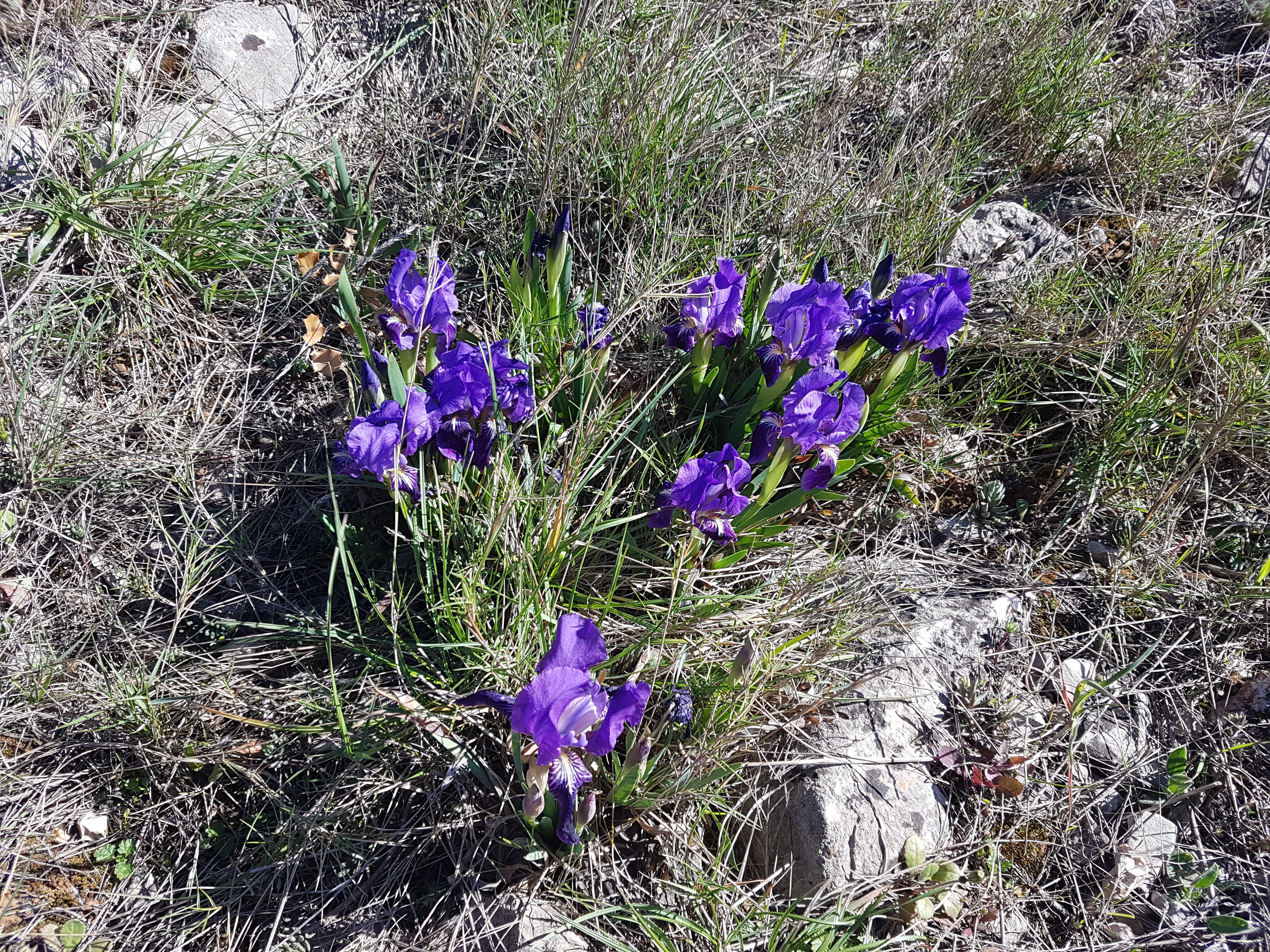 Photo n° 5 de l'avis de Frederic.a fait le 14/03/2021 à 15:46