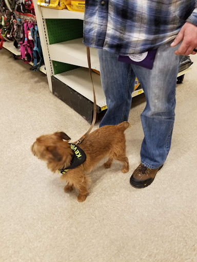 Pet Supply Store «PetSmart», reviews and photos, 777 S Willow St, Manchester, NH 03103, USA