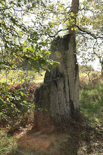 La chaise de merlin à Saint-Malon-sur-Mel