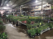 The Home Depot - Photo 5 - Car repair in Beaverton, OR, Portland