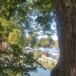 Photo n°1 de l'avis de Ba.a fait le 06/08/2020 à 19:50 sur le  Fischerei Jobmann à Ratzeburg