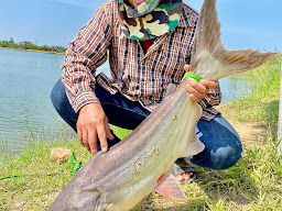 บ่อตกปลาบ้านบึงfishing