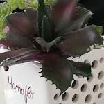 Photo n°4 de l'avis de Alessandro.a fait le 08/04/2019 à 14:01 sur le  Mamaflò restaurant à Ostia