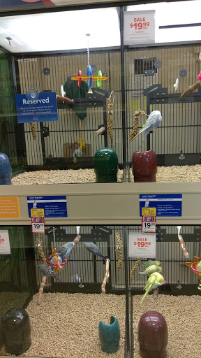 Pet Supply Store «PetSmart», reviews and photos, 4056 Atlanta Hwy, Loganville, GA 30052, USA