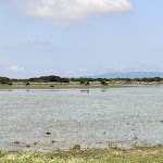 Photo n°6 de l'avis de roberto. fait le 16/06/2023 à 17:37 sur le  Centro Visite - Punto Ristoro - Parco della Giara à Tuili