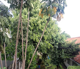Undaan Eye Hospital photo