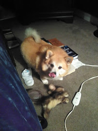 Smilin' Dog LLC - Photo 5 - Car repair in Roseville, MI, Warren