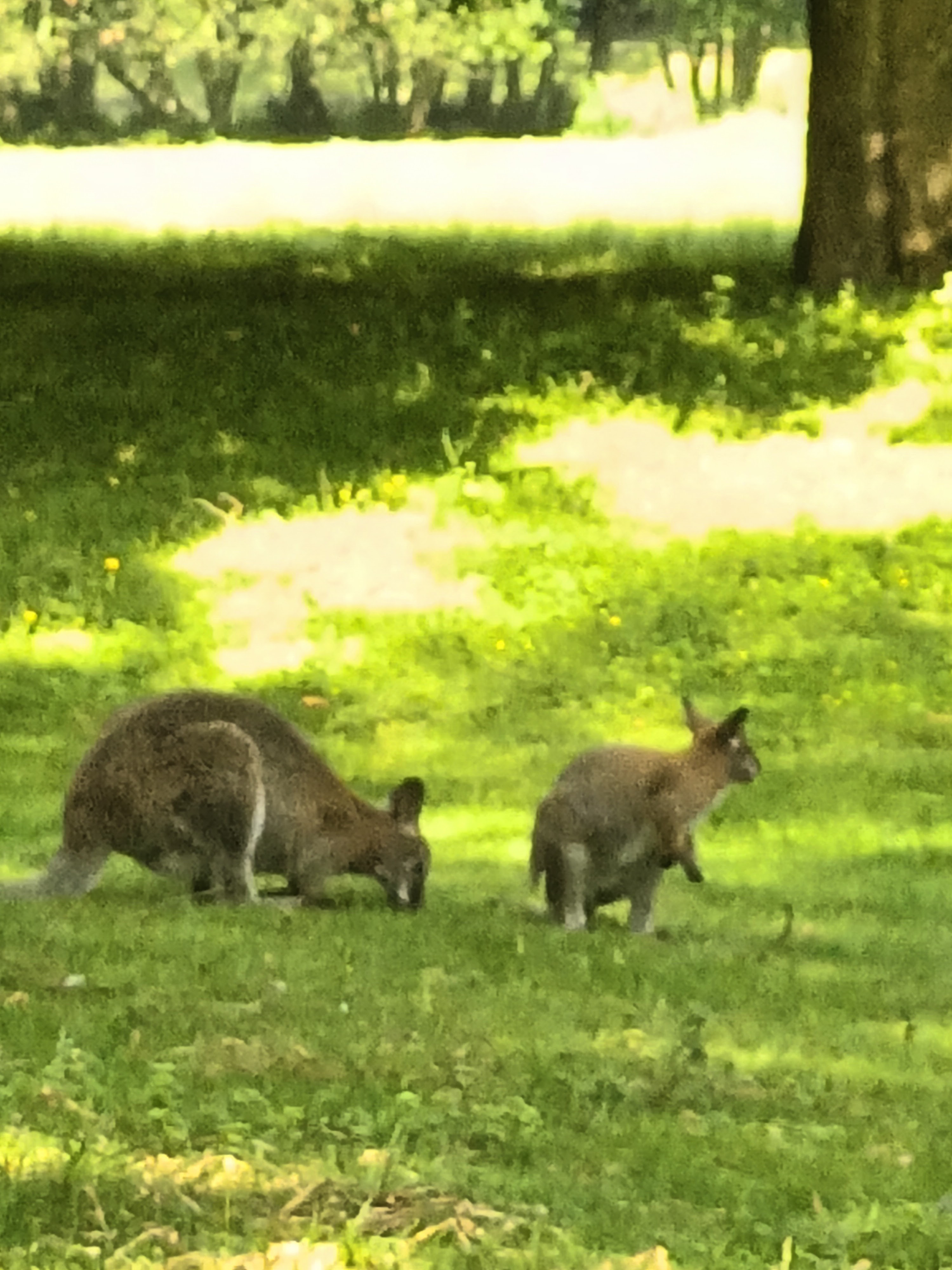Photo n° 3 de l'avis de daniel.a fait le 28/06/2023 à 18:17