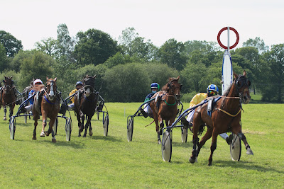 Hippodrome de Bourigny à La Chapelle-Cécelin