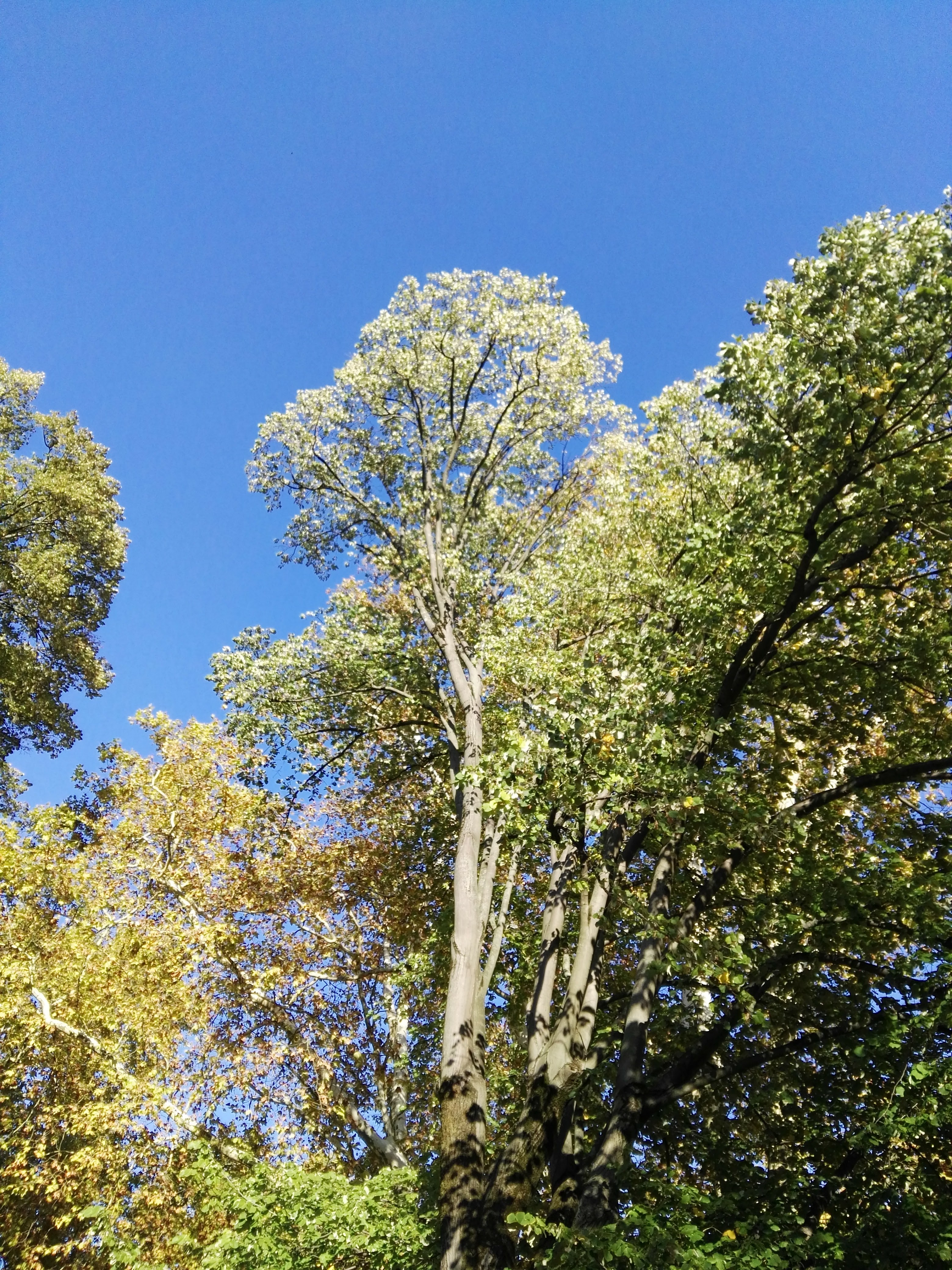 Photo n° 2 de l'avis de Mireille.o fait le 25/05/2018 à 07:16