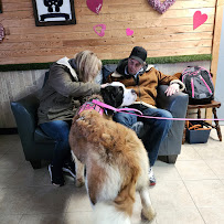 Wright Way Canine - Photo 7 - Car repair in Del City, OK, Oklahoma City