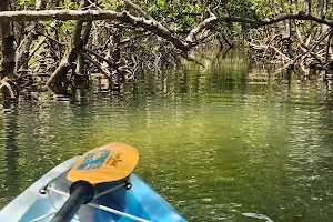 Kayaking SRQ image