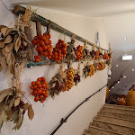 Photo n°1 de l'avis de stefan.u fait le 16/04/2023 à 16:01 sur le  Pizzeria La Forchetta di don Camillo à Bad Reichenhall