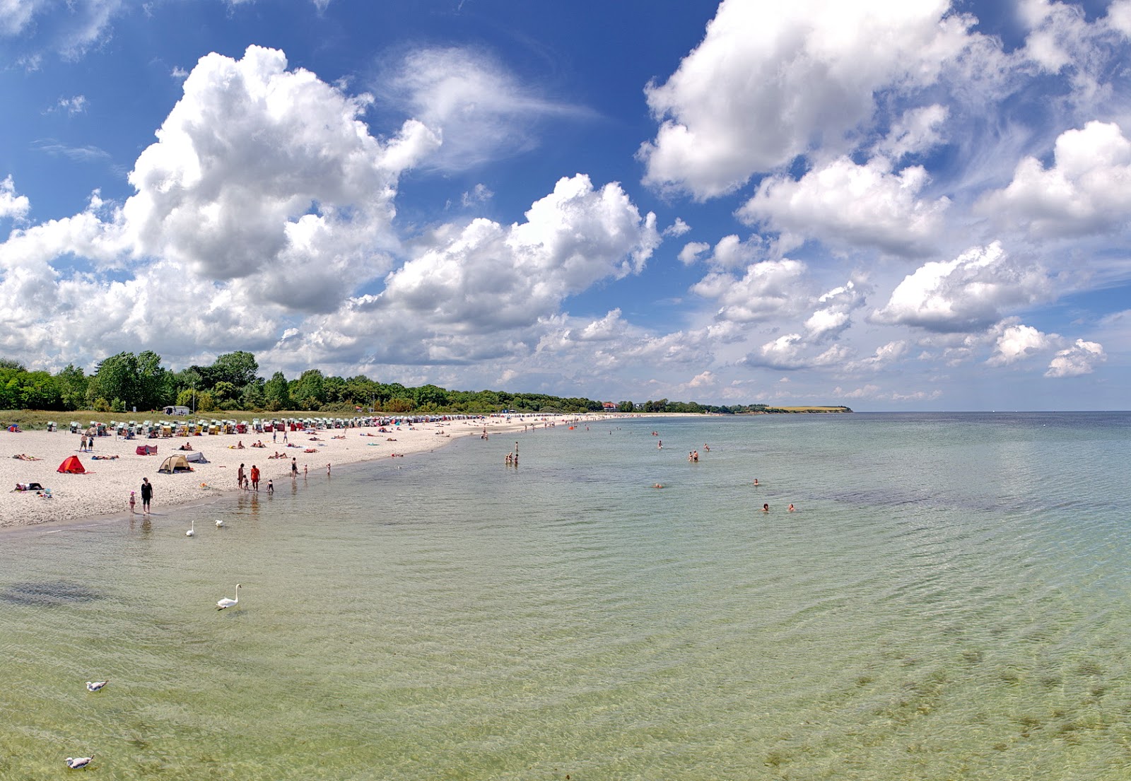Boltenhagen Plajı'in fotoğrafı - rahatlamayı sevenler arasında popüler bir yer