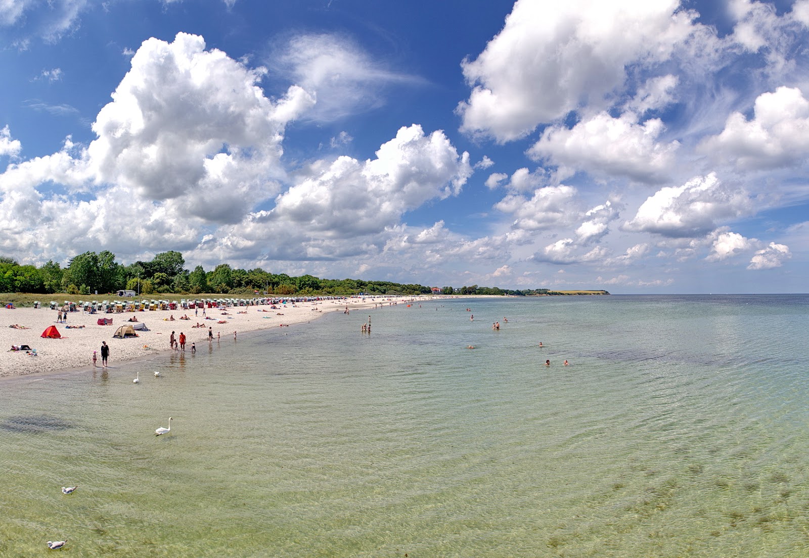 Foto von Strand Boltenhagen - empfohlen für Familienreisende mit Kindern