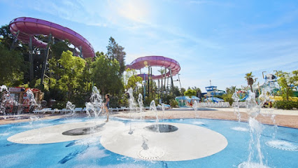 Cayo Cookie – Vila-seca