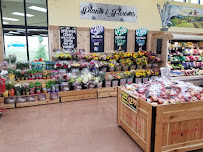 Trader Joe's - Photo 5 - Car repair in Coralville, IA, Iowa City