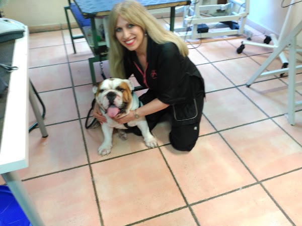 Imagen de Malagueta Canina  Felina (6 de 14)